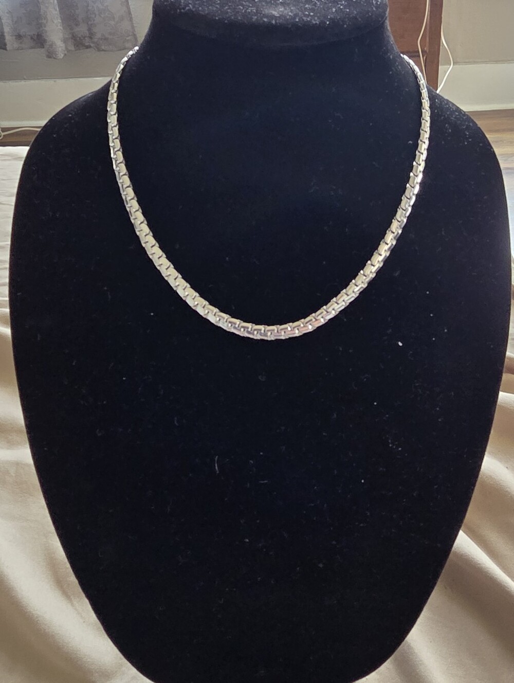 Silvertone Flat S Chain Necklace Backdrop Adjustable Clasp
